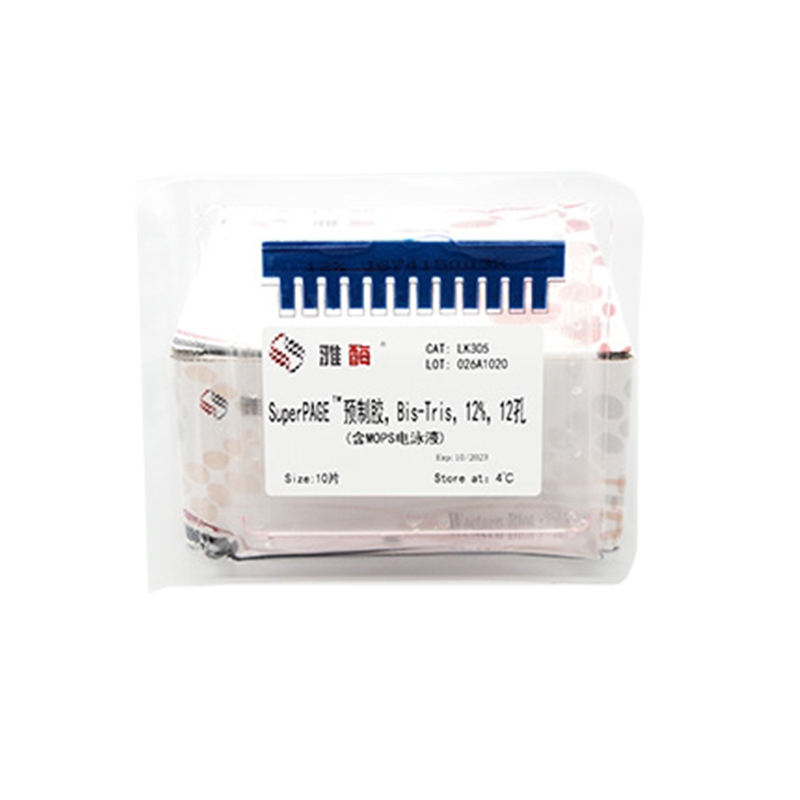 Stain-Free Bis-Tris Gels, 12%, 12wells (MOPS buffer)