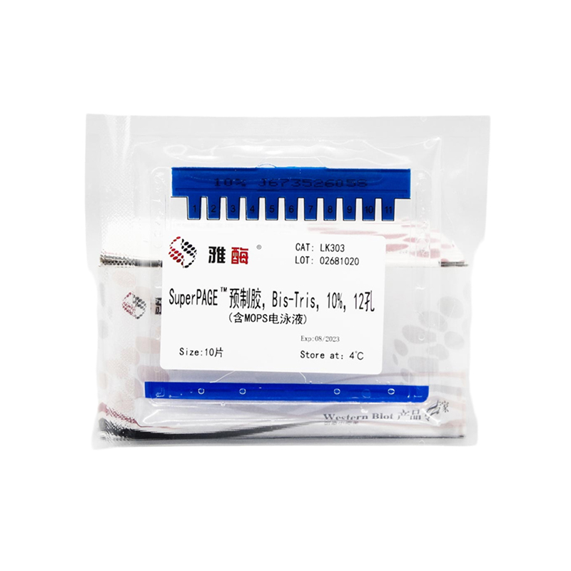 Stain-Free Bis-Tris Gels, 10%, 12wells (MOPS buffer)