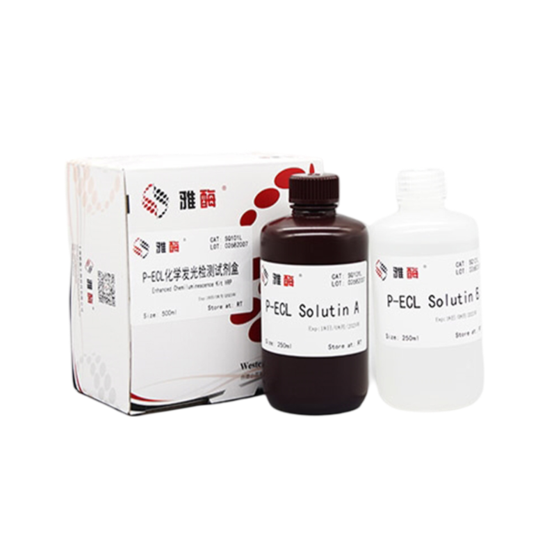 Western Blot Rapid Stripping Buffer(Mild And General Type)