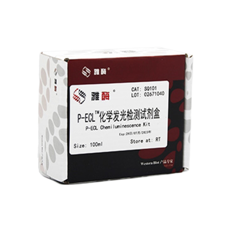 Western Blot Rapid Stripping Buffer(Mild And General Type)